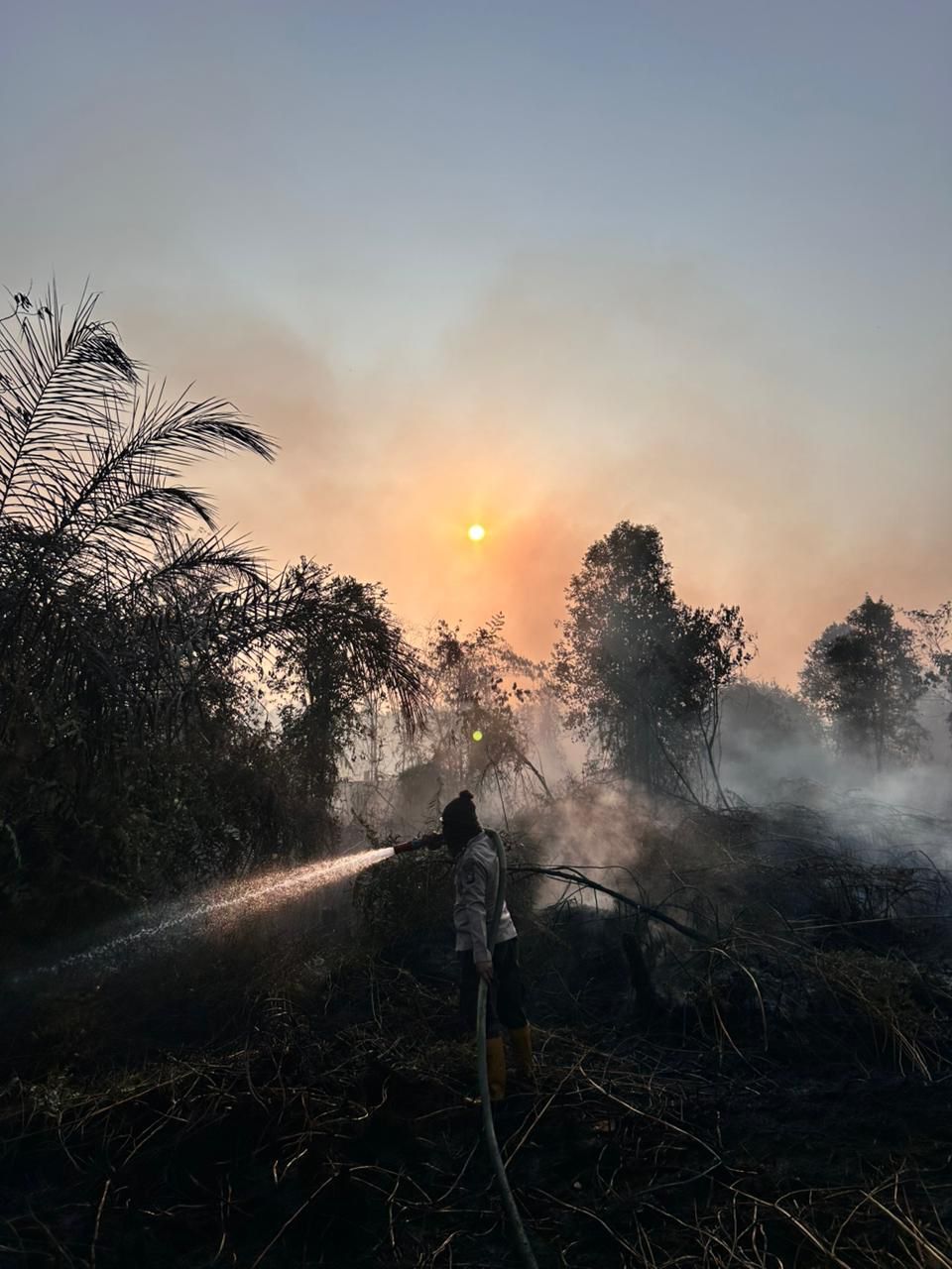 Rimbo Panjang Tetap Berasap: Arah Angin Berubah Jadi Tantangan Utama Pendinginan Lahan
